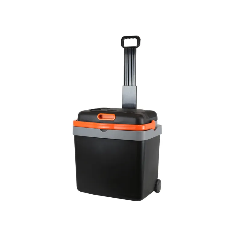 33L draagbare elektrische koel - Wine Beer Dual Zone recensie en prijs