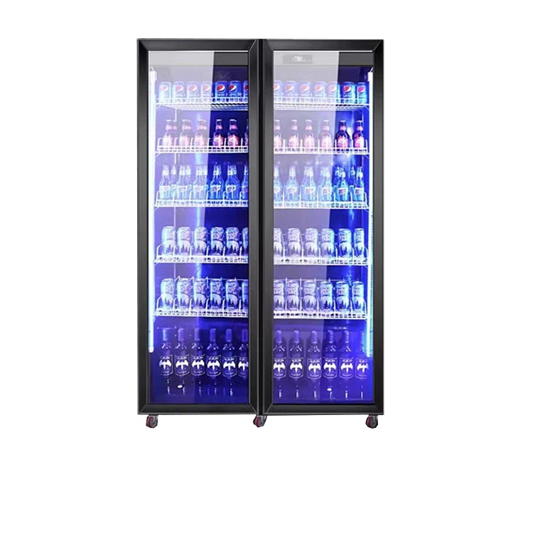 Drankendisplaykoeler en koelka - Wine Beer Dual Zone recensie en prijs